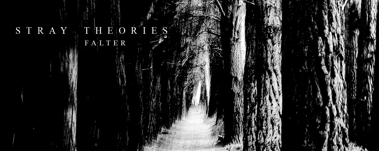 Stray Theories - Falter